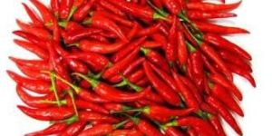 Red Chilly