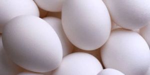 White Poultry Eggs
