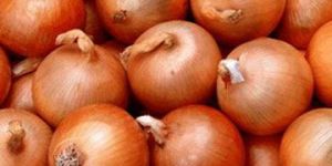 Onions