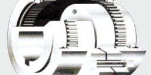 Roto Gear Couplings