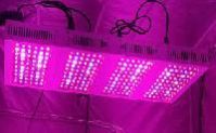 LED Grow Light