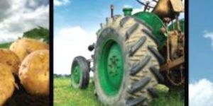 Agriculture Consultancy Consultancy to Farmers