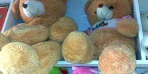 Teddy Bears
