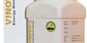 Vinovit-S Capsules