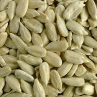 Sunflower Kernels