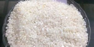 100% Broken Sortex White Rice