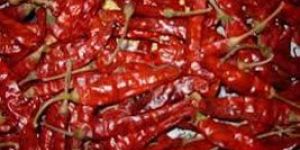 Dried Red Chilli