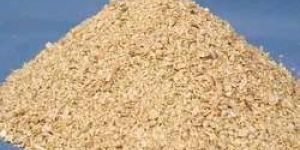 Soybean Meal