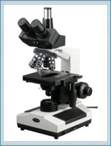 Microscope