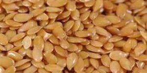 Flax Seeds