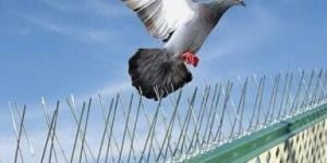 Nylon Bird Netting