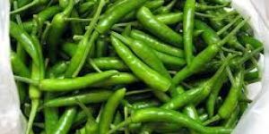 Green Chilly