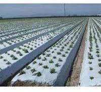 Mulching Film
