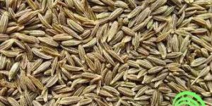 Cumin Seeds, Jeera