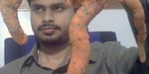 Swayambhu Shwetark Ganapati