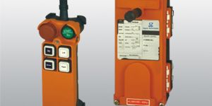 Remote Control System for Cranes