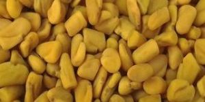 Fenugreek Seeds