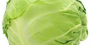 Fresh Cabbage