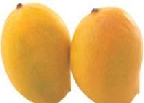 Fresh Kesar Mango