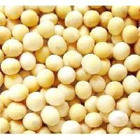 Organic Soybeans