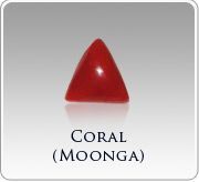 Coral - (moonja)