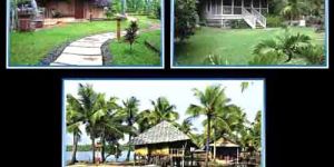 WH - 005 Wooden House