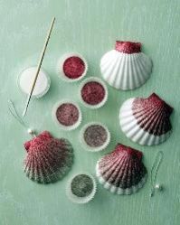 Shell Crafts