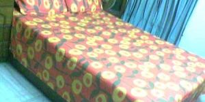PBS-005 Printed Bed Sheets