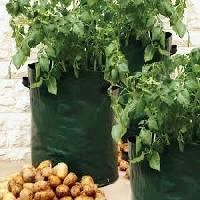 Planter Grow Bags