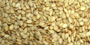Sesame Seeds