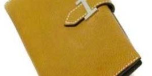 Leather Ladies Wallet (Adaa LW 01)