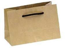 Pb-42 Paper Bags