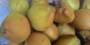 Green Tender Coconut