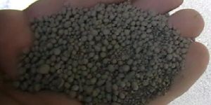 Rock Phosphate