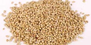 Corriander Seeds