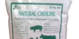 Natural Choline