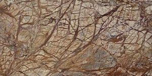 Fantasy Brown Marble