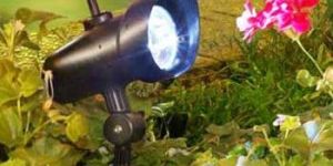 Solar Garden Lights - SFLG101