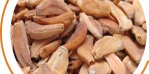 Dehydrated Garlic Cloves