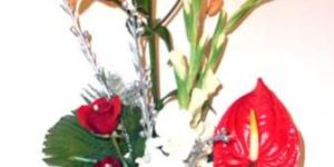 Ornamental Flowers A - 4