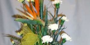 Ornamental Flowers B - 4