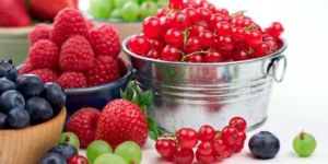 Antioxidant Products