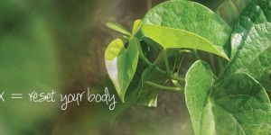 Detoxification Products