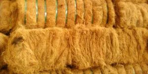 Coconut Fiber