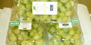 Fresh Green Grapes