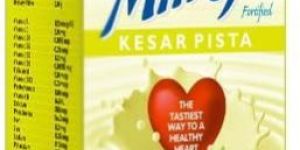 Soy Milk - Kesar Pista