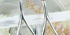 SSE-07 Sterling Silver Earrings