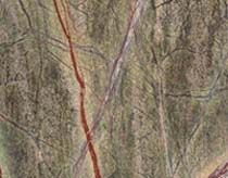 Rainforest Green Marble