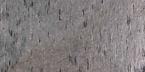Silver Shine Slate
