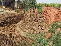Cow Dung